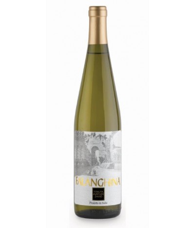 Tenuta Matilde Zasso - Vino bianco Falanghina IGP