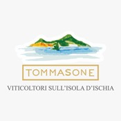 Tommasone